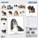 Magnet & Steel Lhasa Apso Moderne Kalender 2026 Wandkalender
