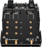 SilverStone SST-SDP12