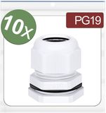 Quadrios 24CA409 Wartel Polyamide Wit 10 stuk(s)