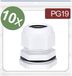 Quadrios 24CA409 Wartel Polyamide Wit 10 stuk(s)