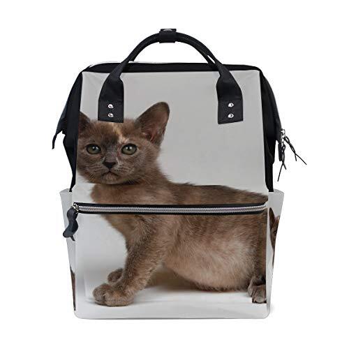 MONTOJ Bruin Leuke Kitten Patroon Canvas Rugzak Reizen Campus Rugzak