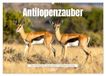 Antilopenzauber CALVENDO Antilopenzauber (Wandkalender 2027 DIN A2 quer)