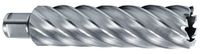 Ruko HSS-holle boor met Weldon-schacht (3/4 inch), CBN, snijdiepte 110 mm (24 x 19 mm) 1082024