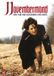 Megamoviestore Novembermond DVD
