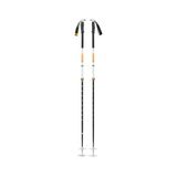 Black Diamond Traverse Pro Bâtons Argent 100-140 cm