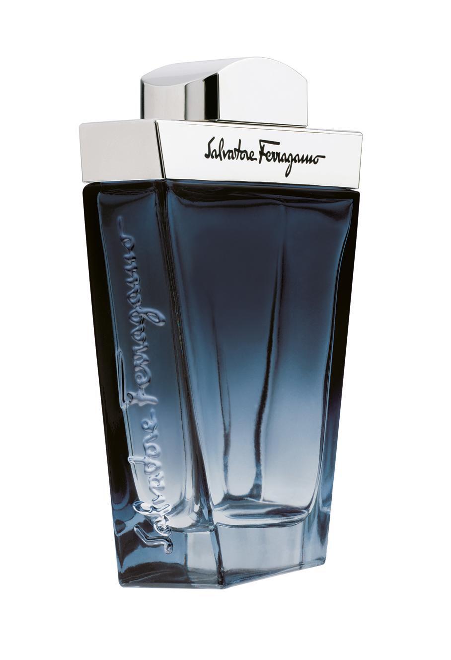 Salvatore Ferragamo Subtil 100 ml Mannen 100ml eau de toilette eau de toilette / 100 ml / heren