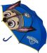 Disney Paw Patrol Kinder Paraplu Handmatig Kleurrijk Blauw