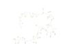 House Doctor Cher 250 cm Blanc-Argent Guirlande lumineuse