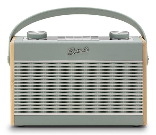 Roberts Radio Rambler Max Draagbaar Analoog & digitaal Groen
