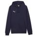 Puma Hoodie Teamgoal Casuals