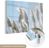 MuchoWow® Glass Painting 90x60 cm - Acrylic Glass Painting - Sky - Grass - Pampas Grass - Photo on Glass - Paintings
