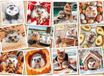 Ravensburger Puzzel, 1500 stukjes, foto van schattige dieren, vereist geduld en concentratie