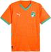 PUMA Trainingsshirt Côte d'Ivoire CAN 2025 Heren Oranje XS