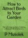 How to Attract Birds to Your Garden: The Ultimate Guide to Creating a Backyard Bird Sanctuary