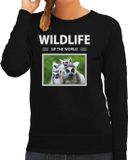 Bellatio Decorations Wildlife of the World Dieren foto sweater ringstaart maki - zwart - dames - cadeau trui ringstaart makis liefhebber M