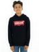 Levi's Kids Batwing Screenprint Hoodie Zwart 3 Years Jongens