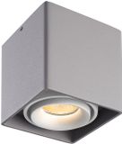 HOFTRONIC Dimbare LED Opbouwspot plafond Esto - Grijs met witte afdekring - IP20 - kantelbaar - excl. GU10 lichtbron