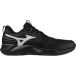 Mizuno Indoor schoenen Wave Momentum Pro