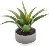 Mica Decorations Vetplant Kunstplant - Groen - Kunststof - H22 cm