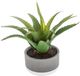 Mica Decorations Vetplant Kunstplant - Groen - Kunststof - H22 cm