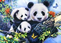Bluebird Puzzle Panda Family Legpuzzel - 1000 Stukjes
