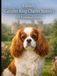 Elira’s Cavalier King Charles Spaniel: 10 Essential Facts