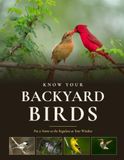 Know Your Backyard Birds: Put a Name to the Regulars at Your Window