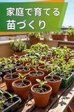 家庭で育てる 苗づくり: 苗を育てる完全ガイド