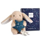 Doudou et Compagnie - Klein knuffeldier konijn Ram - 12 cm - knuffeldier baby collectie Astro met geborduurd sterrenbeeld - zacht fleece ster - cadeau-idee geboorte baby meisjes jongens - DC4651