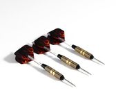Pegasi dartpijlen set 25gr. Flames