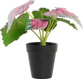 DKD Home Decor Decoratieve plant Roze Groen PE (10 x 10 x 22 cm)