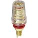 Lyndahl Borne de haut-parleur LKPA070RT 1 pièce(s)