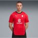 Puma AC Milan maillot d'entraînement - 2025/2026 - 782356-01