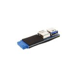 InLine 33444A 2x USB A 19pin Zwart, Blauw