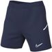 Nike Dri-fit Academy 25 Korte Broek Blauw L Vrouw