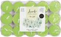 Acorde bougies chauffe-plat - jasmin - 30x - vert - bougies chauffe-plat/parfumées - 3 heures de combustion