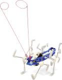 Kikkerland Mxykikker Wind Up - Critter - Speelgoedrobot - Uniek cadeau