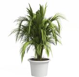 artevasi Venezia Cilindro plantenbak wit Ø 50 cm - kunststof
