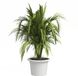 artevasi Venezia Cilindro plantenbak wit Ø 50 cm - kunststof