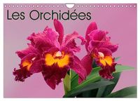 Les Calvendo Les Orchidées (Calendrier mural 2027 DIN A4 vertical), CALVENDO calendrier mensuel