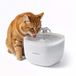 Nedis Drinkfontein voor Hond en Kat - 2 L - Geruisloos - Waterfontein - Incl. Filter - Wit