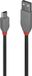 Lindy USB 2.0 Kabel Type A naar Mini B 3M Zwart
