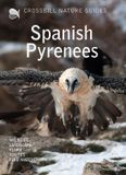 Crossbill Nature Guide Spanish Pyrenees