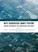 Next-Generation Taylor and Francis Proceedings in Computer Science and Engineering- Next-Generation Smart Systems
