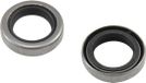 Polini Joint spi 285.0110 pour carter moteur pour mobylette MBK 51 15x22x5mm Gris