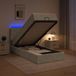 Prolenta Maison Exclusive - Lit Ottoman avec matelas et éclairage LED, gris clair, 100 x 200 cm, revêtement en velours
