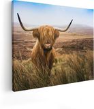 Artaza Canvas Schilderij Schotse Hooglander Koe In Het Veld - 50x40 cm - Canvas Print