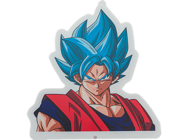 Teknofun Goku Neon-LED Wandlamp