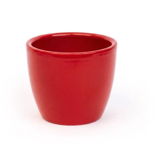 Hortus Floran B.V. Love in Red Mini Plantenpotje