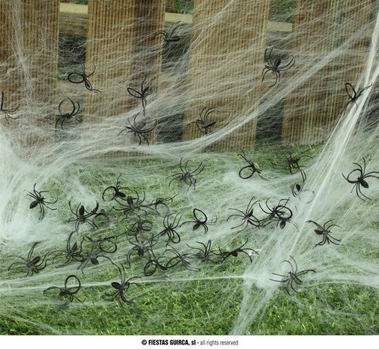 Fiestas Guirca Decoratie Spinnen (50 stuks) - Halloween